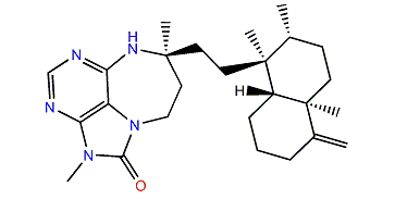 Asmarine D